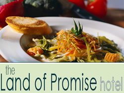 Hindmarsh SA Pubs and Clubs