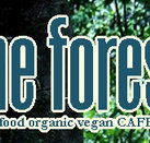 Forest Cafe  Bar - Pubs and Clubs