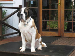 Mt Tamborine QLD Go Out