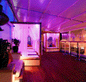 Circus Bar  Night Club - Pubs and Clubs
