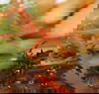 Hallam Hotel - Go Out