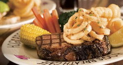 Hogs Breath Cafe - Pubs and Clubs 1