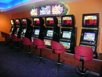 Swell Tavern - Pubs and Clubs 1