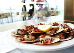 Salt Bar And Restaurant - Pubs and Clubs 1
