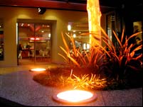 Morphett Arms Hotel - Pubs and Clubs 2