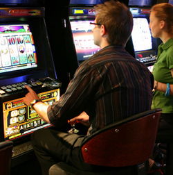 Burleigh Town Tavern - Pubs and Clubs 3