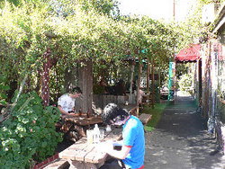 Blackcat - Pubs and Clubs 3