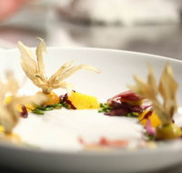 Jellyfish Restaurant - Pubs and Clubs