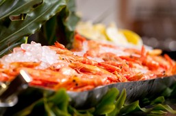 Broadbeach QLD Go Out