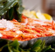 Food Fantasy - Go Out