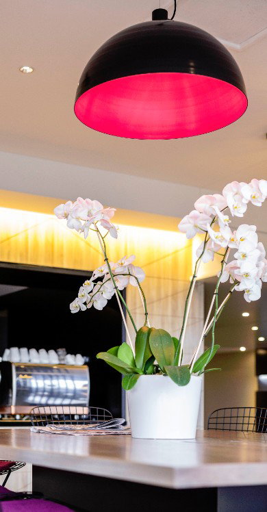 MRepublic Restaurant, Bar And Lounge - Pubs and Clubs 4
