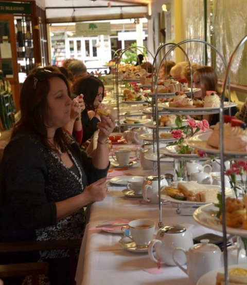 The Fig Tree @ Eumundi - Go Out 10