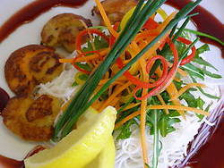 Watsons Bay Hotel - Pubs and Clubs 1