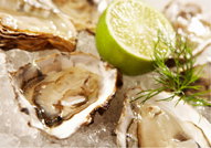 The Station Hotel - Go Out 2