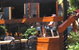Samford Valley Hotel - thumb 2
