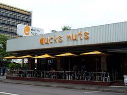 Ducks Nuts Bar & Grill - Go Out 2