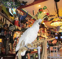 A Friend In Hand - Pubs and Clubs