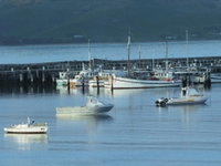 Book Apollo Bay Accommodation Vacations Pubs and Clubs Pubs and Clubs