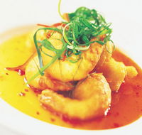 Palm Cove Tavern - Pubs and Clubs