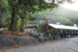 Ellis Beach QLD Pubs and Clubs