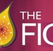 Pickled Fig - Go Out