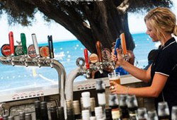 Quokka Arms - Pubs and Clubs 0