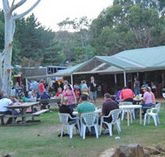 Bush Shack Brewery - Pubs and Clubs