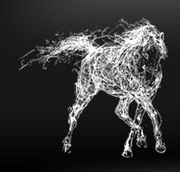 The White Horse - Pubs and Clubs