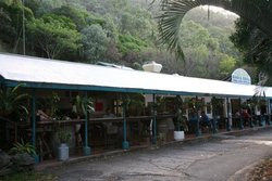 Ellis Beach Bar & Grill - Pubs and Clubs 1