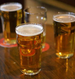 Black Lion Inn Hotel - Pubs and Clubs 1