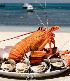 Quokka Arms - Pubs and Clubs 1