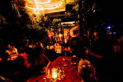 Greenant Cantina - Go Out 2