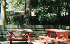 The Grand Hotel Healesville - Pubs and Clubs 2