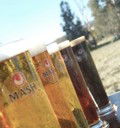 Mash Brewery - Swan Valley - Go Out 2