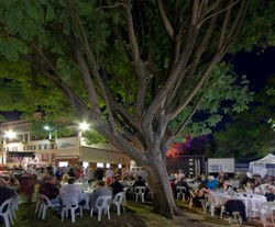 Premier Hotel - Pubs and Clubs 2