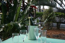 Ellis Beach Bar & Grill - Pubs and Clubs 3