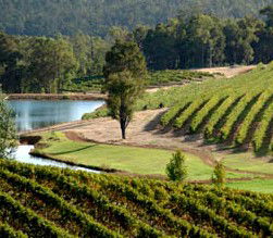 Brookhampton Estate Vineyard - Pubs and Clubs 0