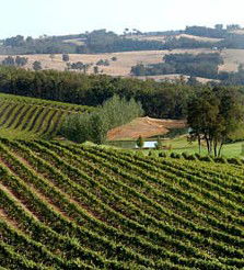Brookhampton Estate Vineyard - Pubs and Clubs 1