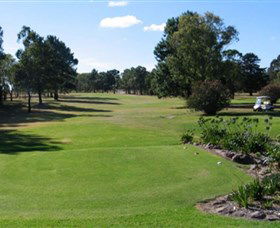 Belford NSW Go Out