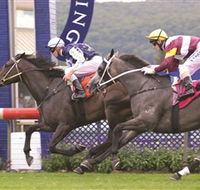 Gosford Race Club - Go Out