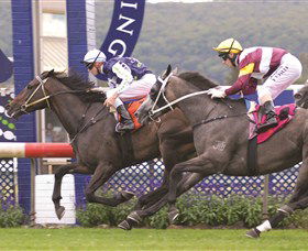 Gosford Race Club - Go Out 0