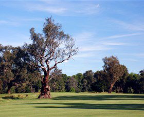 Corowa Golf Club - Go Out 5