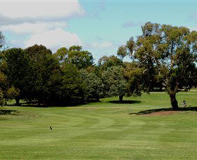 Cooma Golf Club - Go Out 1
