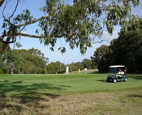 Wild Dog Valley VIC Go Out