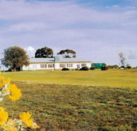 Lucindale Country Club - Pubs and Clubs