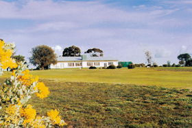 Lucindale Country Club - Pubs and Clubs 0