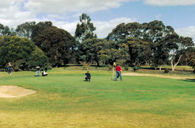 Lucindale Country Club - Pubs and Clubs 1