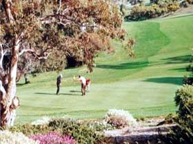 Victor Harbor Golf Club - Pubs and Clubs 1
