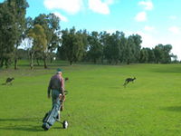 Book Coffin Bay Accommodation Vacations Go Out Go Out