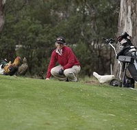 Tasmania Golf Club - The - Pubs and Clubs